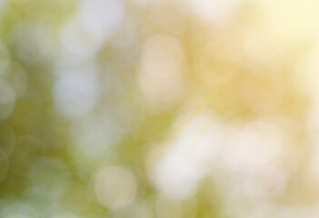 Aerial sunny blurred green nature background with bokeh effect.