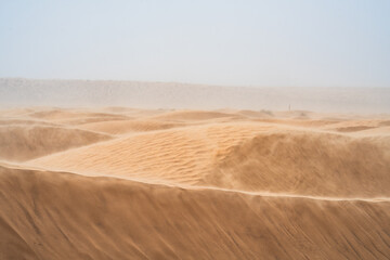 wind on sand dune of the Sahara - southern Tunisia - obrazy, fototapety, plakaty