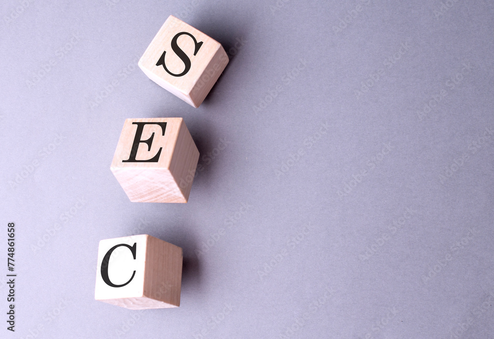 Poster sec word on wooden block on gray background