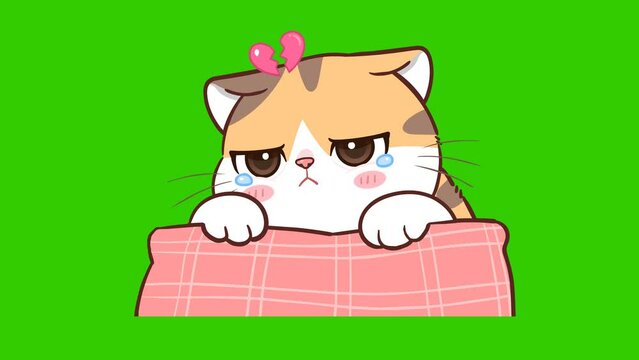 miss animation, cute cat on green screen