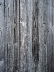 Obraz premium old wood barn wall texture out of really old blanks taken with hasselblad