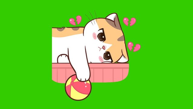 miss animation, cute cat on green screen