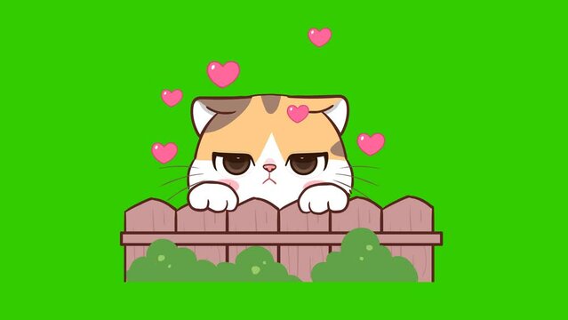 miss animation, cute cat on green screen