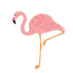 pink flamingo in flat style, isolated on white background