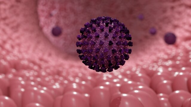 3d rendering of Echovirus. The name is derived from "enteric cytopathic human orphan virus"