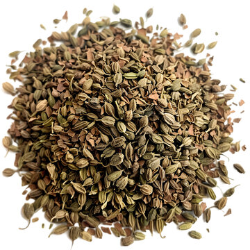 Ajwain Trachyspermum ammi Ayurveda herb natural medicinal remedy ingredient, isolated on a transparent background