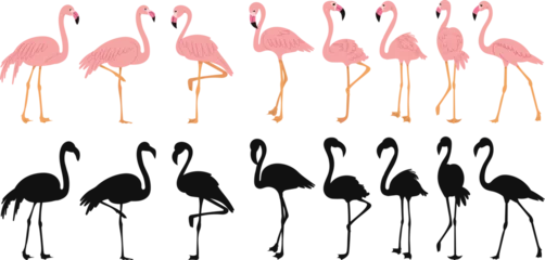 Fototapete Flamingo pink flamingo in flat style, with silhouette on white background vector