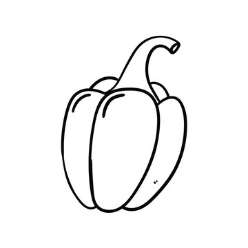 Hand drawn doodle paprika pepper on white background.