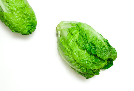 Fresh romaine vegetable salad. Baby cos lettuce on white kitchen table. Diet salad cooking .