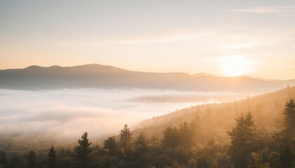 Fototapeta na wymiar mountain forest at fog sunrise background