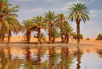 Sand dunes surround the oasis with palm tree and lake - Sahara, Morocco