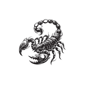 scorpion silhouette image ,scorpion silhouette tattoo,scorpion silhouette svg ,scorpion silhouette png 