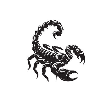 scorpion silhouette image ,scorpion silhouette tattoo,scorpion silhouette svg ,scorpion silhouette png 