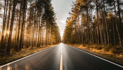 straight asphalt road in the middle of the forest in rainy weather ai generative