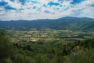 Fototapeta na wymiar Summer landscape near Castiglion Fiorentino, Tuscany, Italy