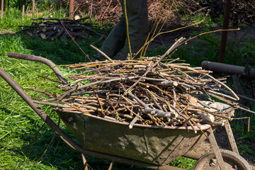 A wheelbarrow full of branches and thorns. Old rusty wheelbarrow, Work completed, spring work