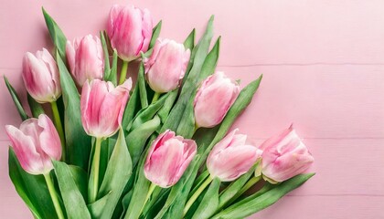 Tulip Dreamland: Top View Display of Pink Tulip Bouquet on Pastel Pink