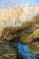 Fototapeta premium Cycle hivernal de l'eau dans le Cantal : Lac alimenté par l'eau de fonte, Cantal, Parc des Volcans d'Auvergne
