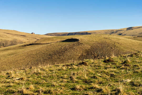 Paysage agricole et pastorale : Haie bocag&egrave;re dans les estives du Naufonts, Cantal, Auvergne, France