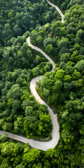 Montanhas e Florestas com um Caminho Sinuoso