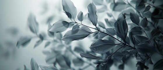Botanical Elegance: Layers of botanical minimalism create a serene and natural backdrop.