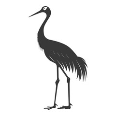 Obraz premium Silhouette crane bird animal black color only full body