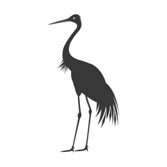 Obraz premium Silhouette crane bird animal black color only full body