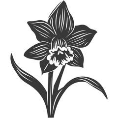 Silhouette daffodil flower black color only