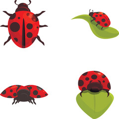 Ladybug icons set cartoon vector. Cartoon bright red ladybird. Nature, insect