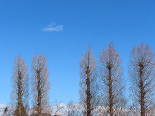 冷たい空気の青空