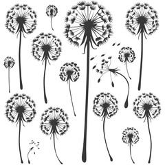 Silhouette Dandelions flower black color only