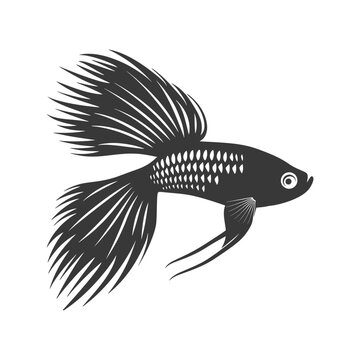 recommend clip art: Silhouette guppy fish animal black color only full body