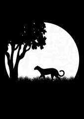Silhouette of walking leopard in the night savannah. Spring Africa dusk meadow. Black panther hunting under full moon - 774892865