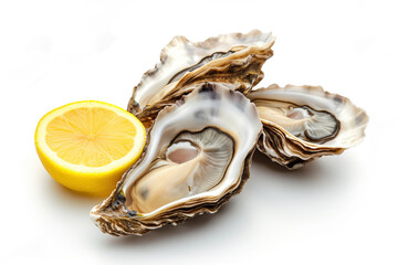 oysters and lemon slice isolated on white background