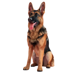 Obraz premium Dog sitting with tongue out on Transparent Background