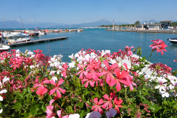Desenzano del Garda, panorama of the port with flowers
