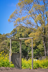 Fototapeta premium 春の訪れ