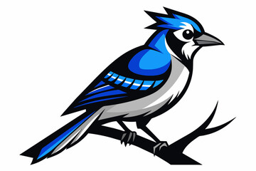 a blue jay symbolize bird silhouette vector illustration 