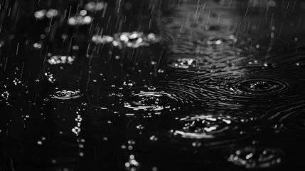 Poster Rain on a black background. Raindrops falling against a backdrop of darkness, creating a serene ambiance. © Vladimir