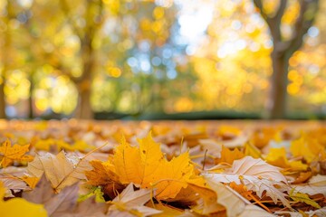 Naklejka na ściany i meble Golden Autumn Leaves Blanketing the Forest Floor