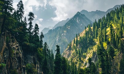 A picturesque mountain landscape with towering pine trees lining the rugged slopes