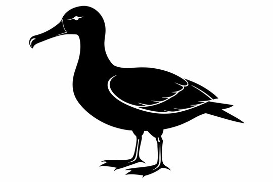 recommend clip art: albatross silhouette black vector illustration