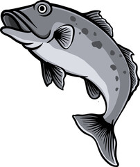 fish isolated on white