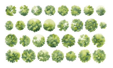 Obraz premium Various green trees, bushes and shrubs, top view for landscape design plan. Isolated watercolor illustration, PNG cutout.
