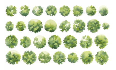 Plexiglas foto achterwand Various green trees, bushes and shrubs, top view for landscape design plan. Isolated watercolor illustration, PNG cutout. © Vasily Merkushev