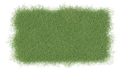 3D rendering of the green grass isolated on a white background. Transparent background PNG file.  © backiris