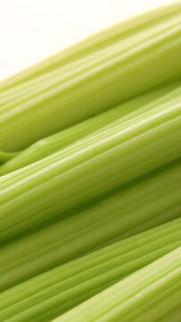 celery stalk, rotation in circle. green fresh celery, Turning. selective focus. green background. Vertical video