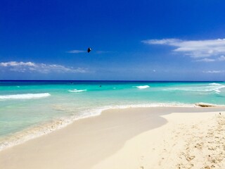 Fototapeta na wymiar Beautiful tropical beach on the Riviera Maya, Mexico