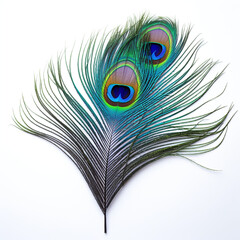 Fototapeta premium peacock feather on a white background сreated with Generative Ai