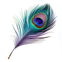 Obraz premium peacock feather on a white background сreated with Generative Ai